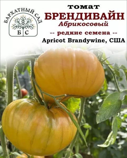 abrikosovyy-brendivayn-10-172195