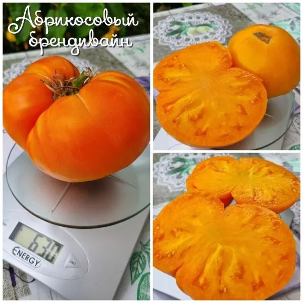 abrikosovyy-brendivayn-5-172195