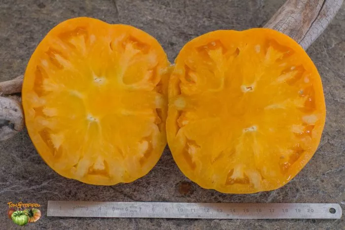 abrikosovyy-brendivayn-6-172195