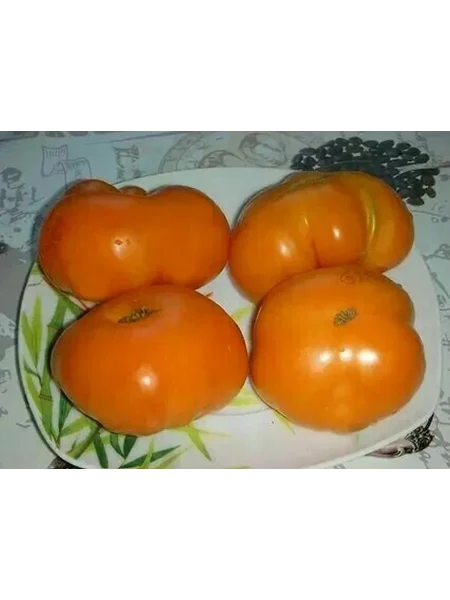 abrikosovyy-brendivayn-8-172195