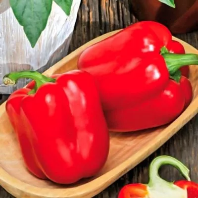 admiral-ushakov-3-185509