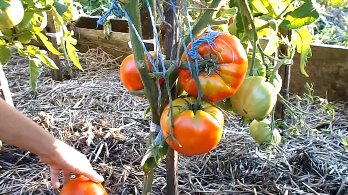 akademik-saharov-2-176547