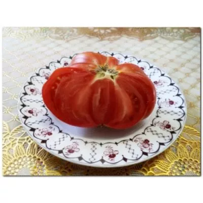 akademik-saharov-7-176547