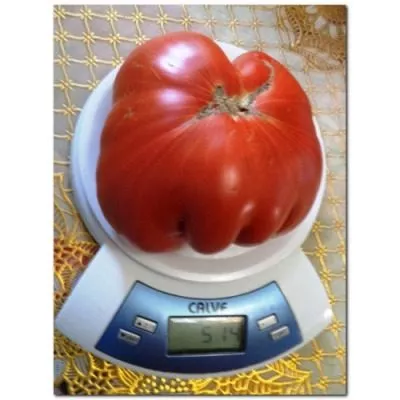 akademik-saharov-8-176547