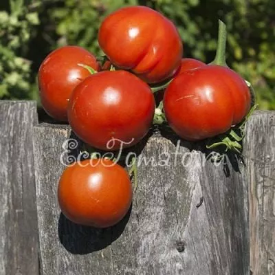 akademik-saharov-9-176547