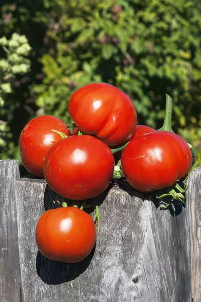 akademik-saharov-main-176547