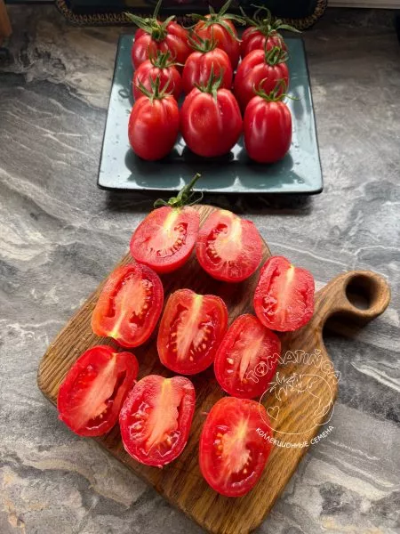 almatinskiy-tyulpan-krasnyy-10-170710