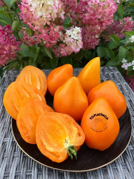 almatinskoe-serdtse-oranzhevoe-11-175716