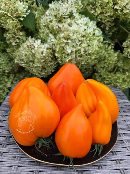 almatinskoe-serdtse-oranzhevoe-9-175716