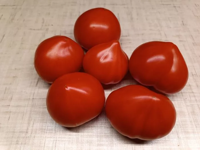 aloe-serdtse-skarlet-8-174862