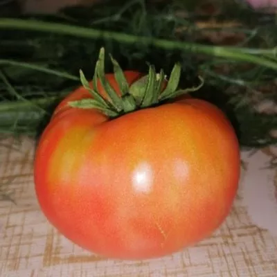 altayskaya-zarya-4-176876