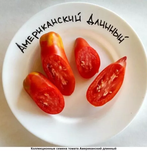 amerikanskiy-dlinnyy-1-176075
