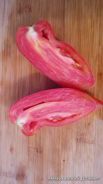 amerikanskiy-dlinnyy-4-176075