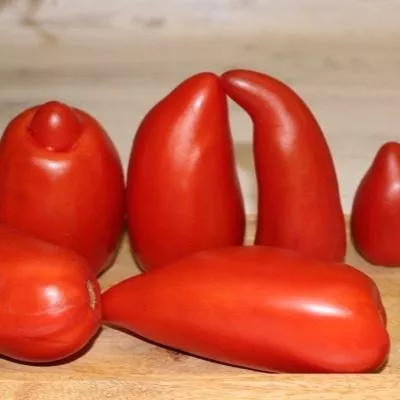 antichnyy-rimskiy-5-175441