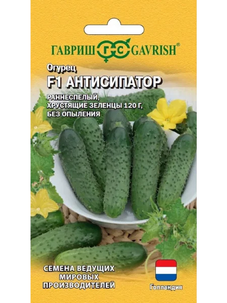 antisipator-1-198277