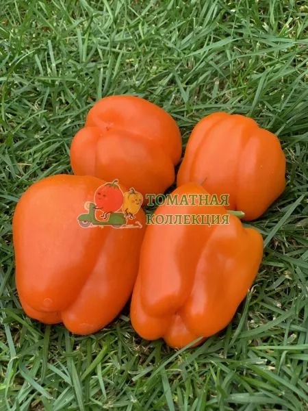 apelsinovyy-sok-2-180889