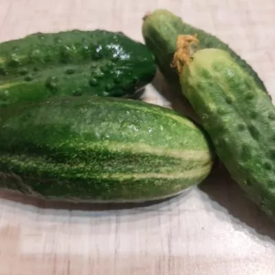 apomiksis-konyaeva-4-197847