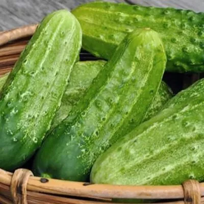 apomiksis-konyaeva-6-197847