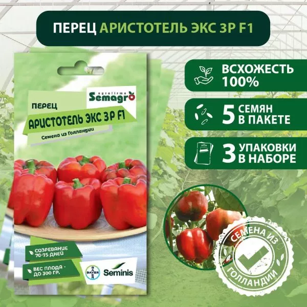 aristotel-eks-3r-3-186317