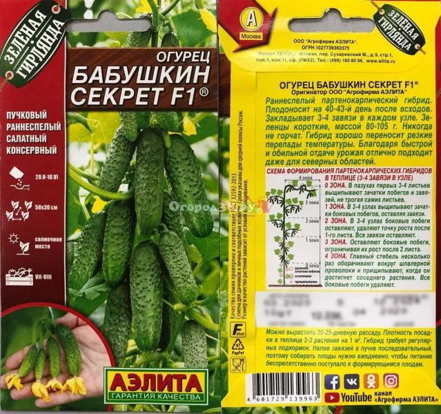babushkin-sekret-1-197367