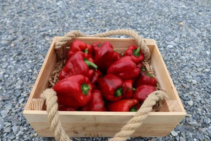 babushkin-sekret-main-183500