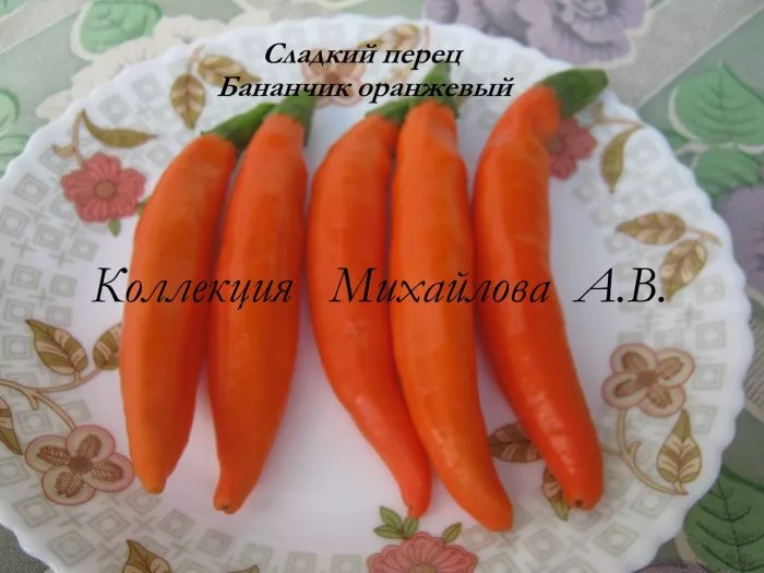 bananchik-oranzhevyy-10-180589