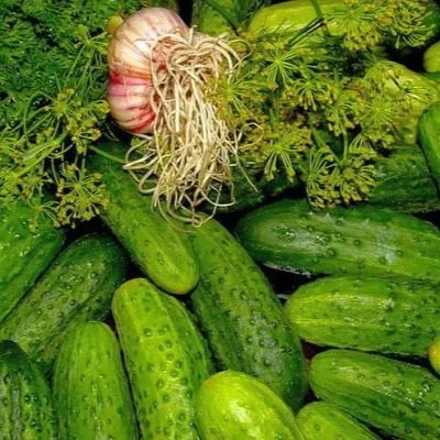 banochnyy-main-192838