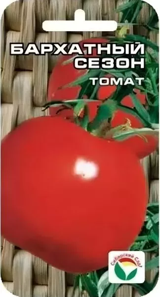 barhatnyy-sezon-2-171907