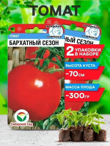 barhatnyy-sezon-3-171907