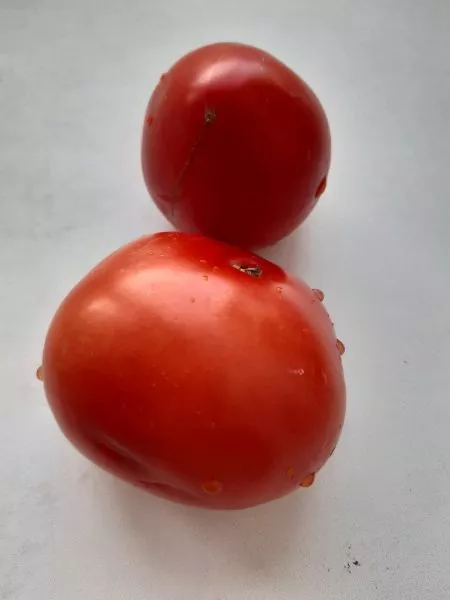 barhatnyy-sezon-4-171907