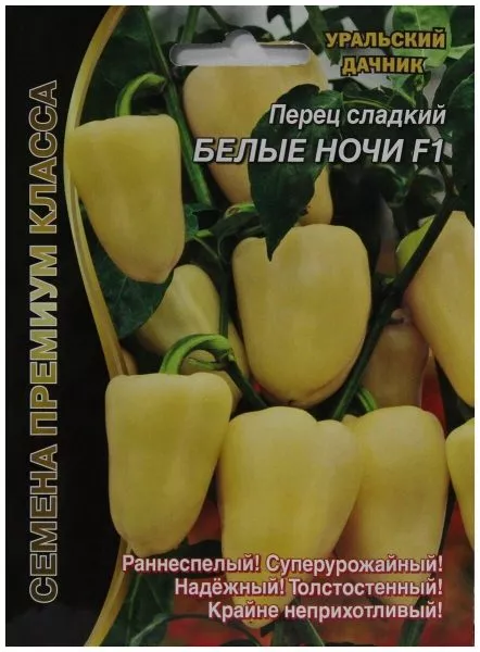 belye-nochi-2-185395