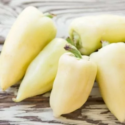 belye-nochi-9-185395