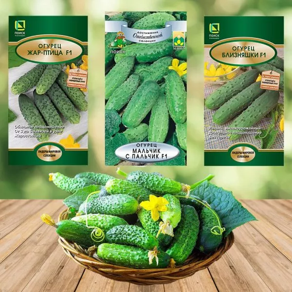 bliznyashki-4-192177