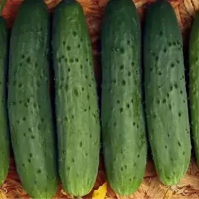 bliznyashki-6-192177