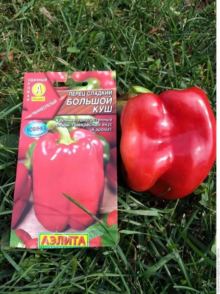 bolshaya-peremena-3-182490