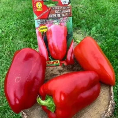 bolshaya-peremena-4-182490