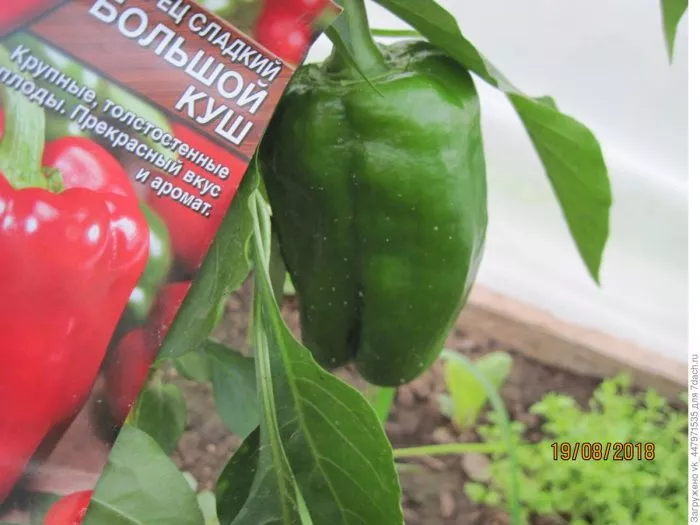 bolshoy-kush-2-190548