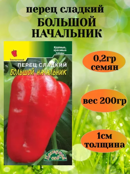 bolshoy-nachalnik-1-179415