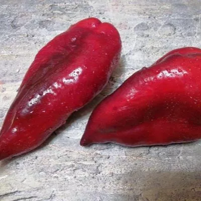 bolshoy-reus-9-190820