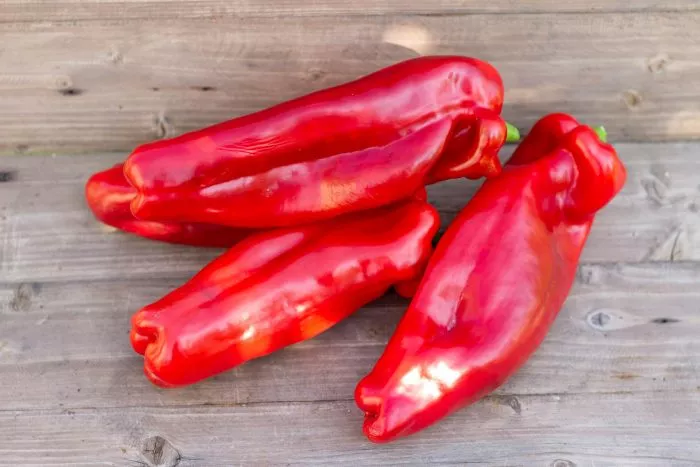 bolshoy-reus-main-190820