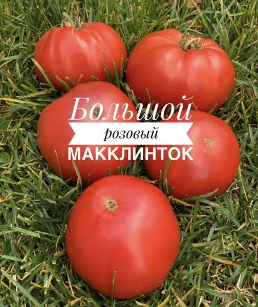 bolshoy-rozovyy-makklintok-2-172512