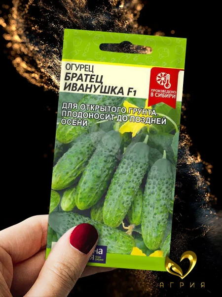 bratets-ivanushka-1-192814