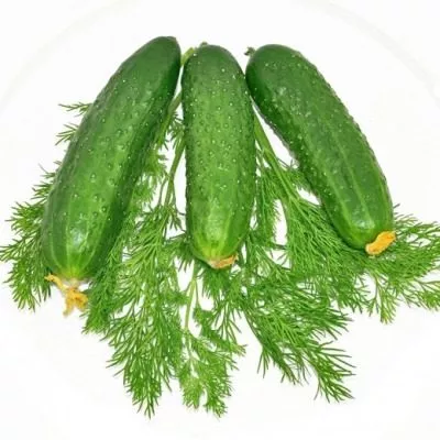 bratets-ivanushka-6-192814