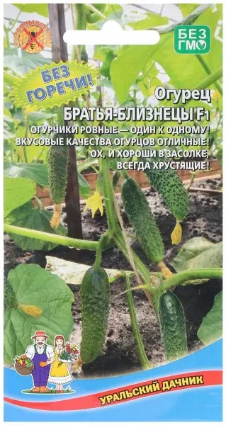 bratya-bliznetsy-2-199879