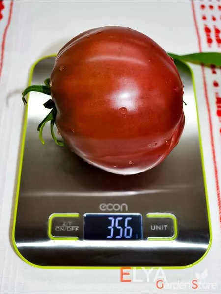 bychok-chernyy-10-175631