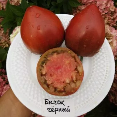 bychok-chernyy-11-175631