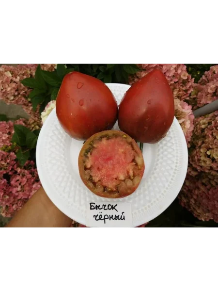 bychok-chernyy-2-175631