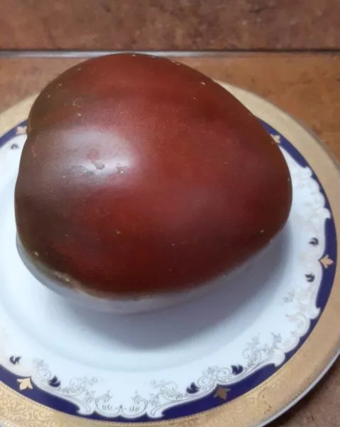 bychok-chernyy-main-175631