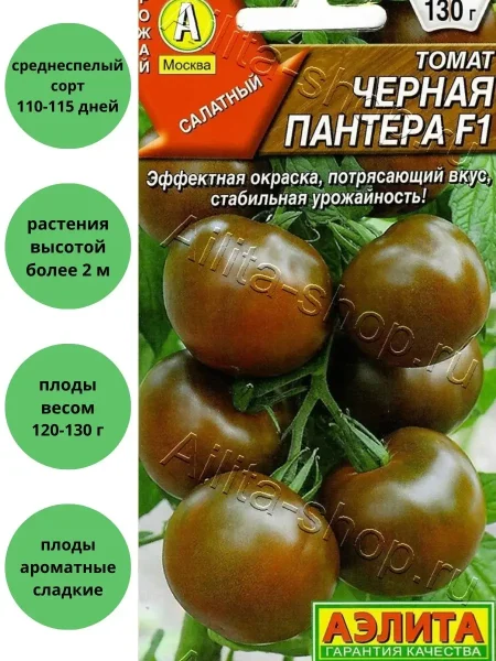 chernaya-pantera-1-175258