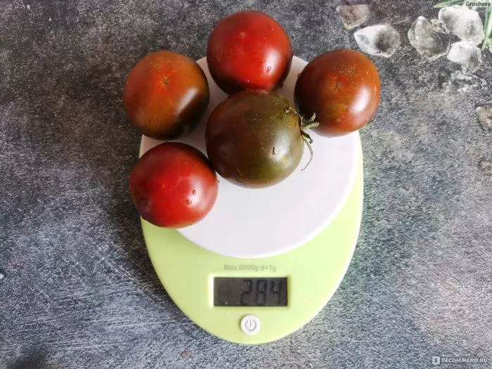 chernaya-pantera-4-175258